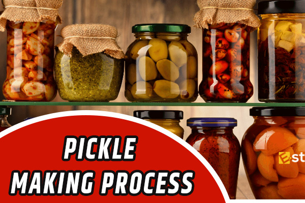 Pickle Business in the USA